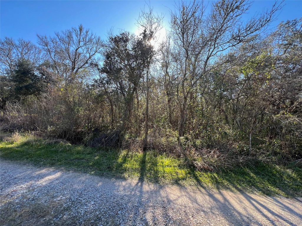 Photo of 0 Segundo, Brazoria, TX 77422 (MLS # 82913202)