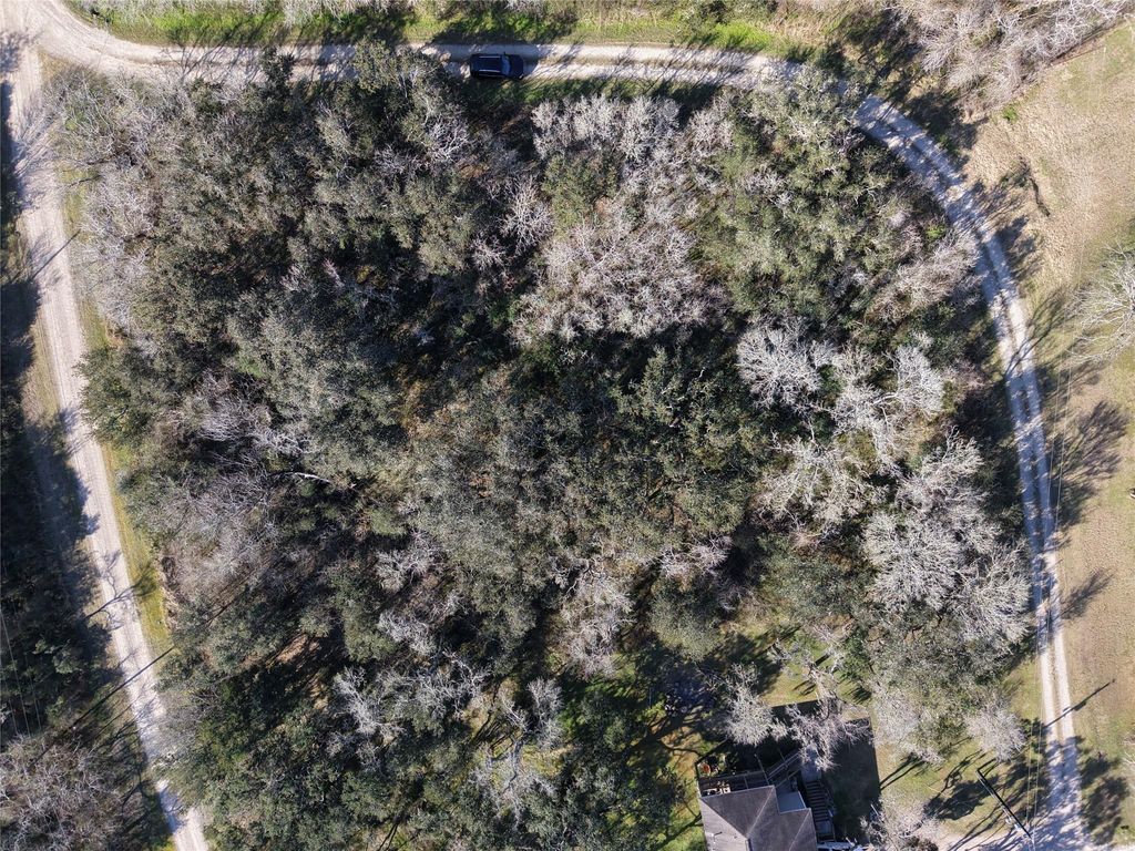 Photo of 0 Segundo, Brazoria, TX 77422 (MLS # 82913202)