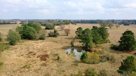 Vacant Land For Sale - TBD Pr 1260<br/> Centerville, TX 75833