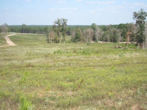 Vacant Land For Sale - 000 20 Fm256<br/> Tyler County, Woodville, TX 75979