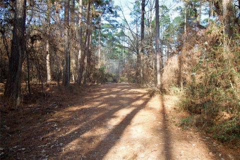 Photo of 0 Fsr 556 N, Kennard, TX 75847 (MLS # 80351160)