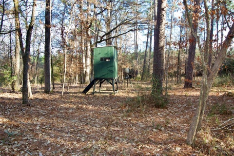 Photo of 0 Fsr 556 N, Kennard, TX 75847 (MLS # 80351160)