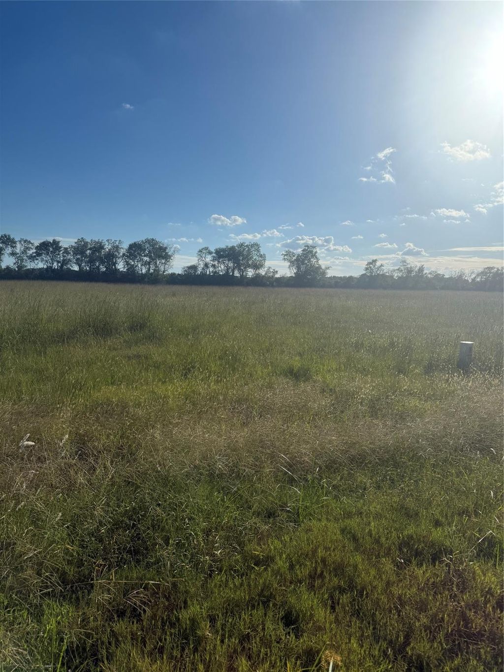 Photo of 0 Apache Tr, Angleton, TX 77515 (MLS # 94121112)