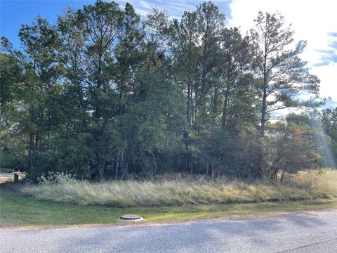 Photo of 40 Knight Lane Drive, Coldspring, TX 77331 (MLS # 58667640)