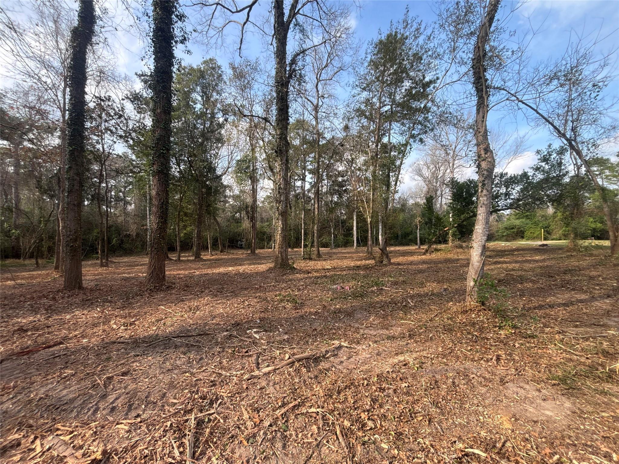 1742 Woodway Drive