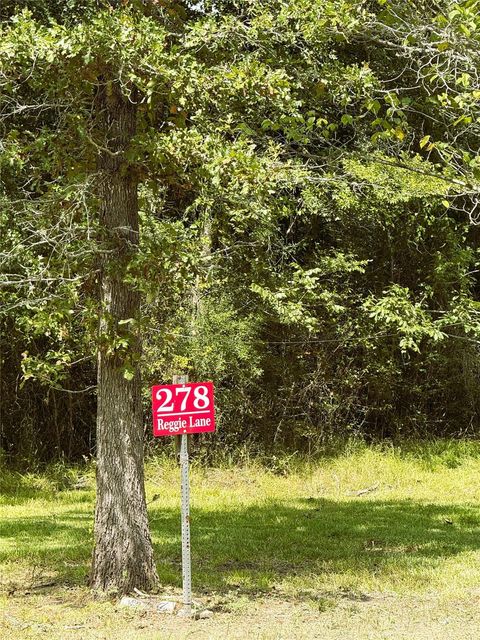 Tiny photo for 278 Reggie Lane, Trinity, TX 75862 (MLS # 71675537)