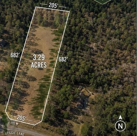 Photo of 278 Reggie Lane, Trinity, TX 75862 (MLS # 71675537)