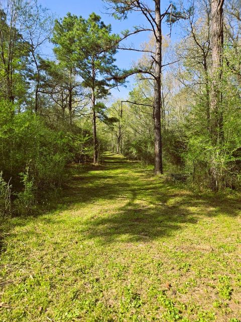 Tiny photo for 278 Reggie Lane, Trinity, TX 75862 (MLS # 71675537)