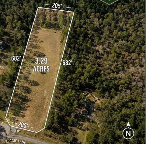 Photo of 278 Reggie Lane, Trinity, TX 75862 (MLS # 71675537)