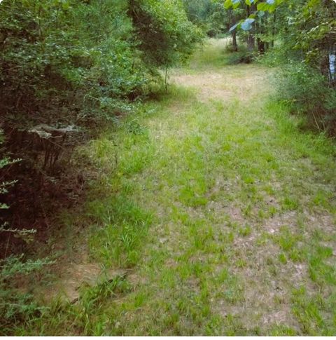 Tiny photo for 278 Reggie Lane, Trinity, TX 75862 (MLS # 71675537)