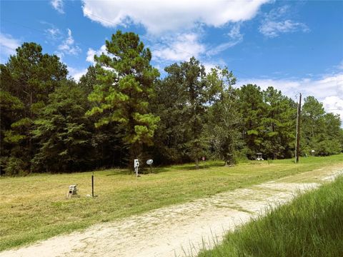 Tiny photo for 278 Reggie Lane, Trinity, TX 75862 (MLS # 71675537)