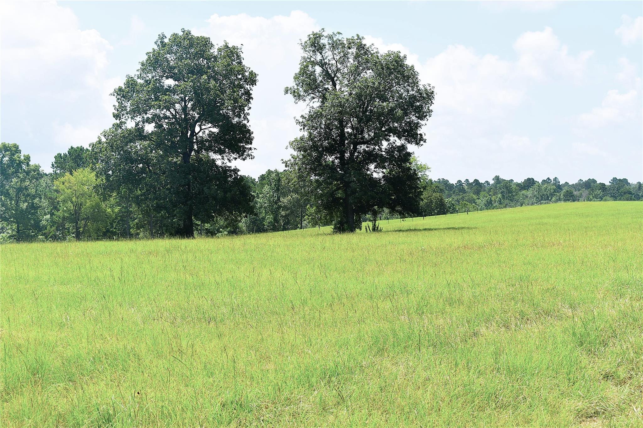 8034 E County Road 212