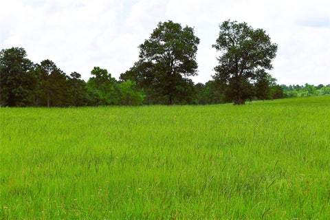 Photo of 8034 E County Road 212, Buffalo, TX 75831 (MLS # 31655349)