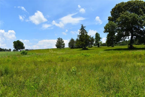 Vacant Land For Sale - 8034 E County Road 212<br/> Buffalo, TX 75831