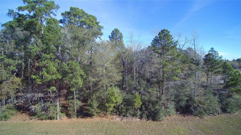 Photo of 23481 Cannondale Loop, Montgomery, TX 77316 (MLS # 59445014)