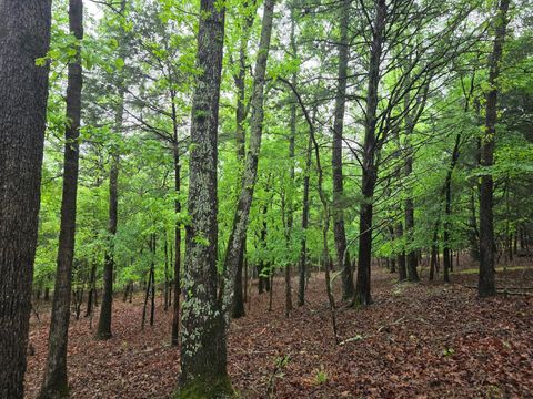 Photo of 7413 Quail Hollow Court, Larue, TX 75770 (MLS # 75016741)