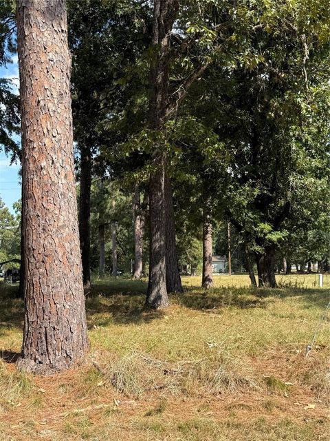 Photo of 0 Peach Point Lane Lane, Trinity, TX 75862 (MLS # 41040244)