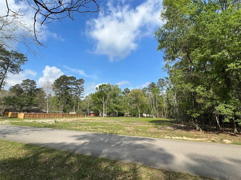 Photo of 2607 Roman Forest Boulevard, New Caney, TX 77357 (MLS # 36308652)