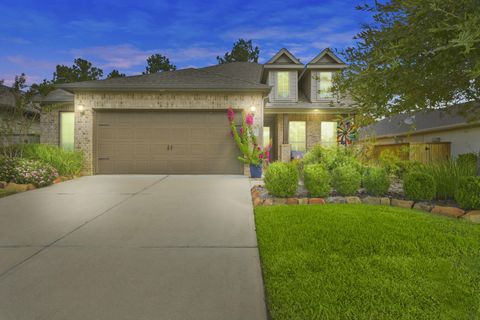 Photo of 110 Pepper Grass Place, Montgomery, TX 77316 (MLS # 66929729)