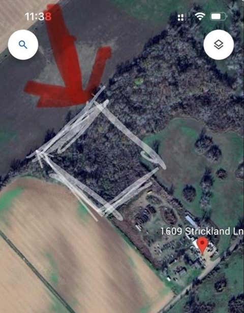 3317339728