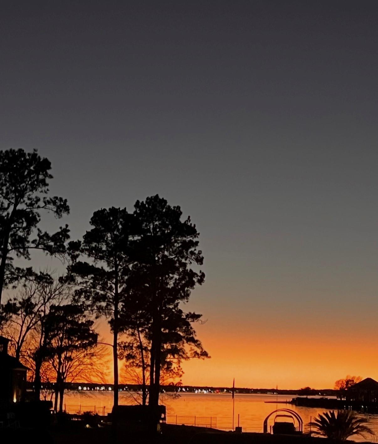 12323 Longmire Cove