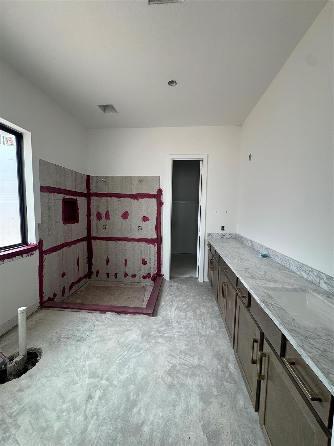 3611 Blue Mistflower