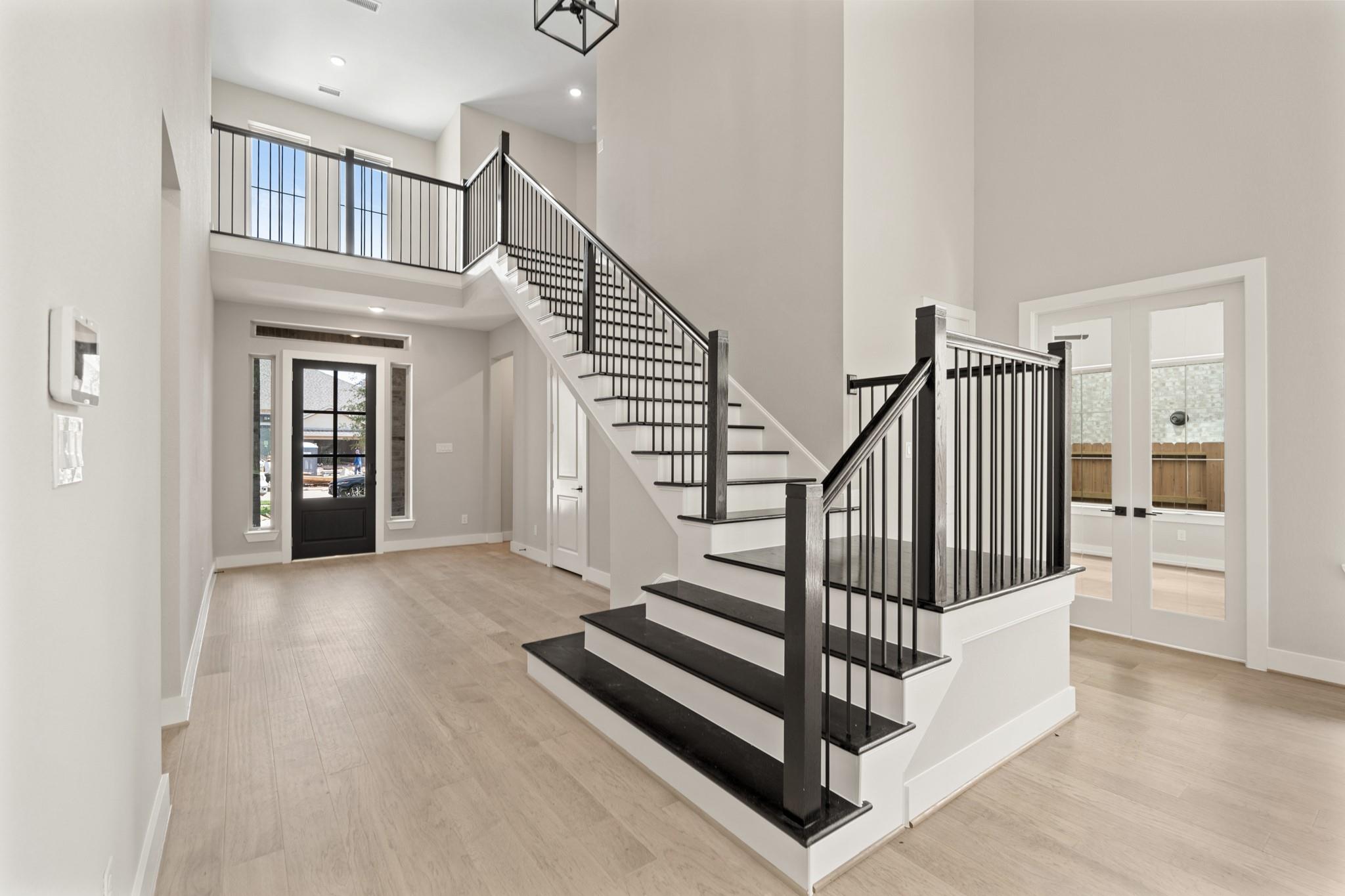 3611 Blue Mistflower