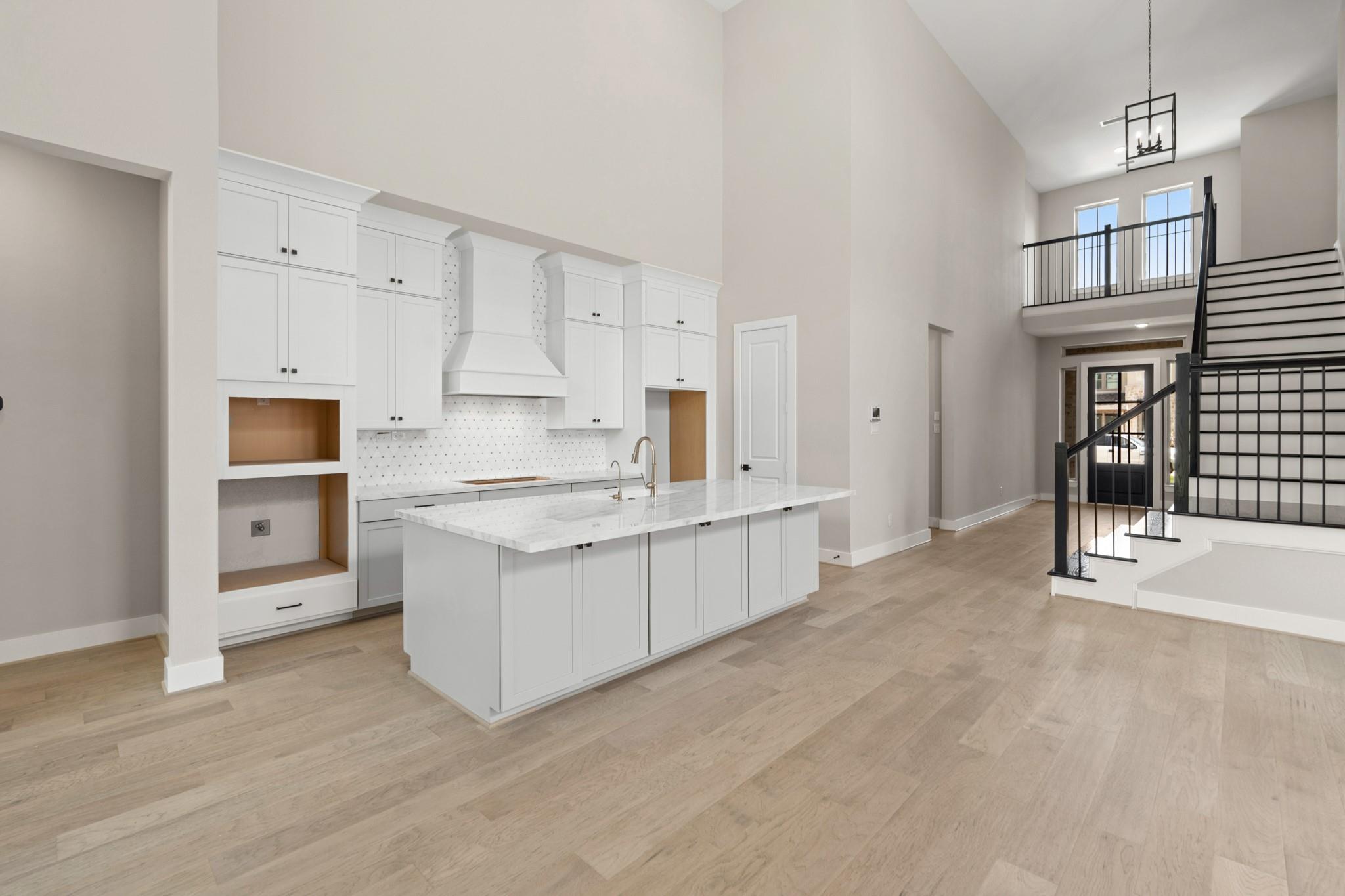 3611 Blue Mistflower