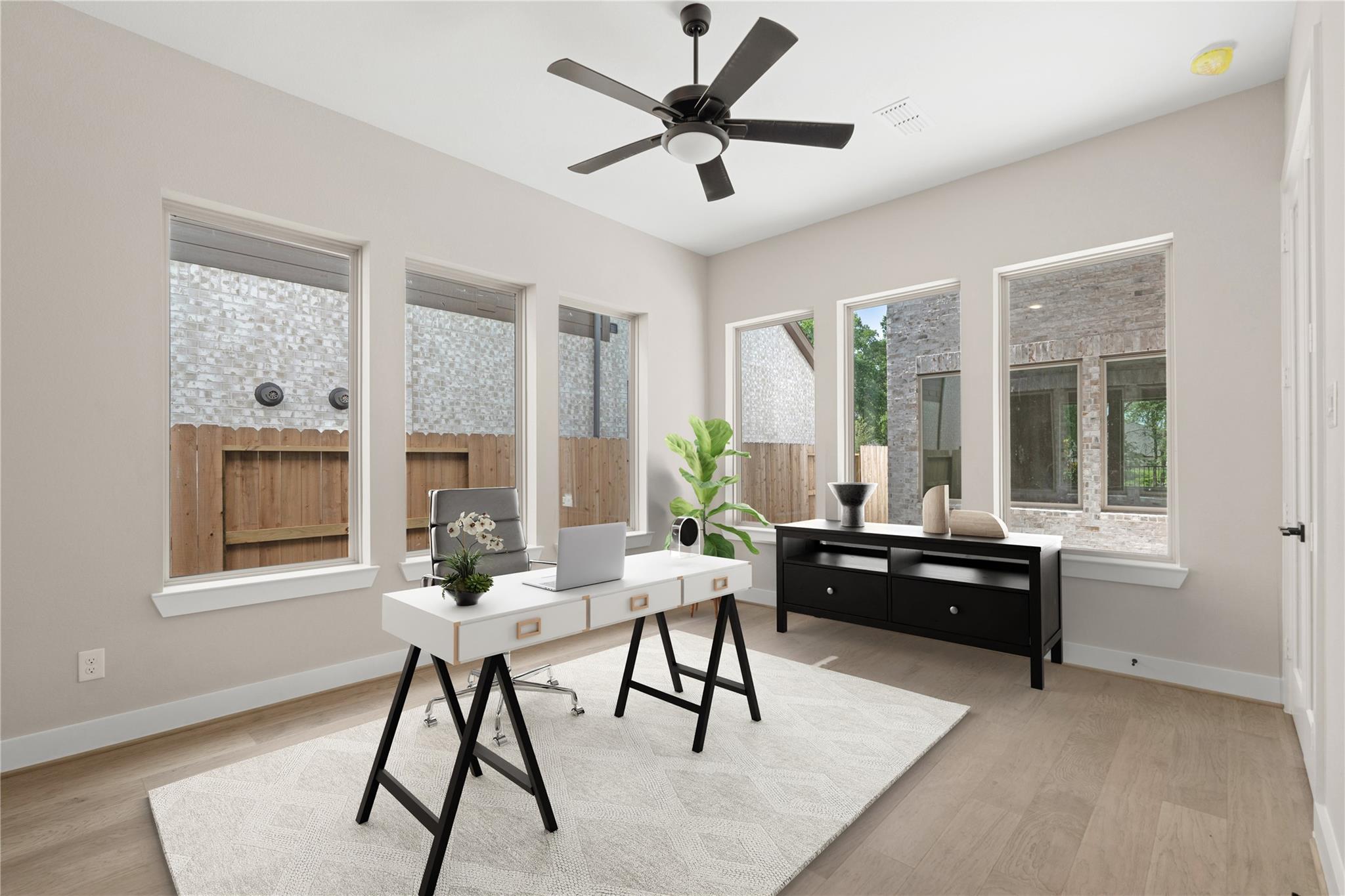 3611 Blue Mistflower