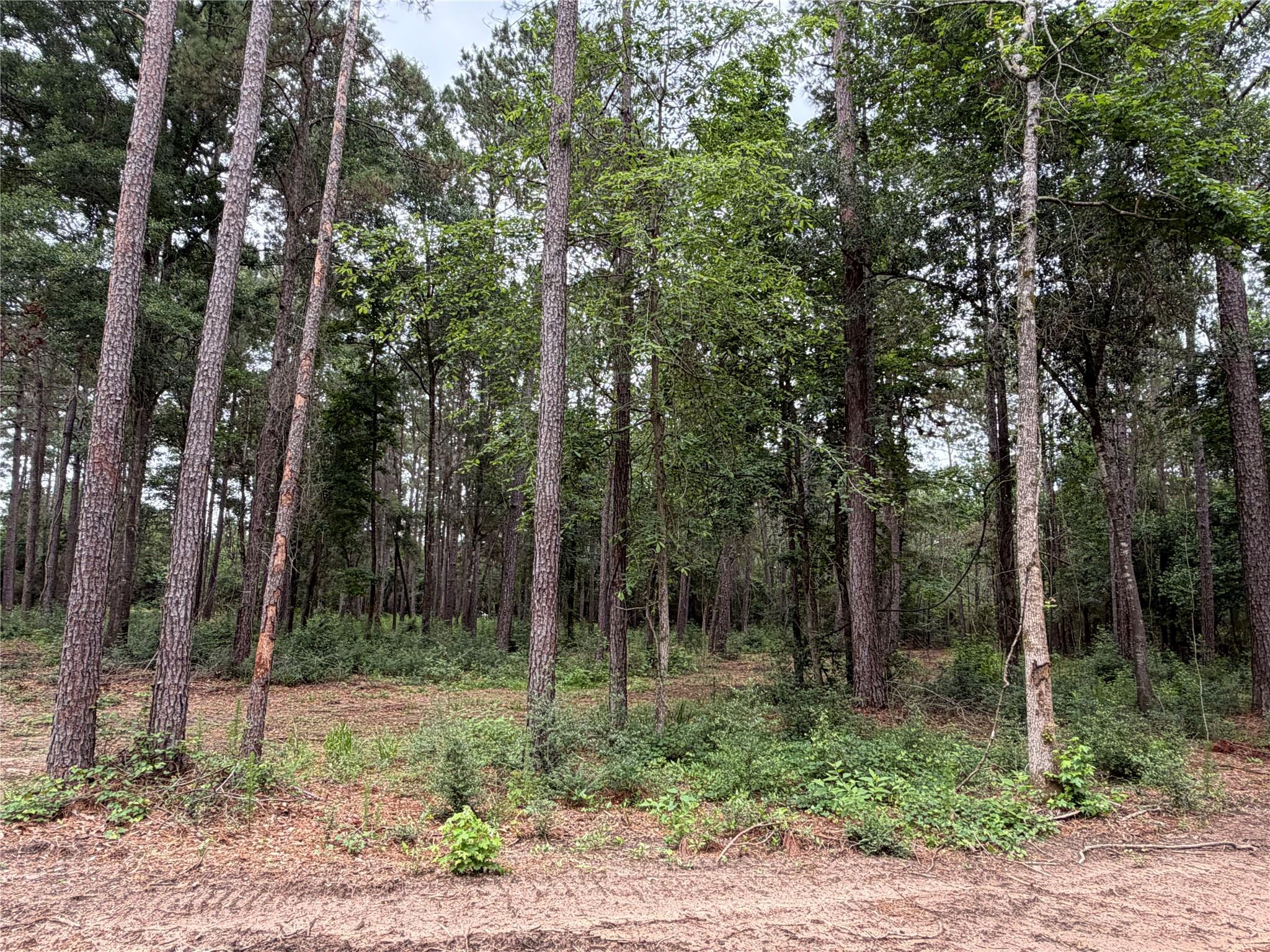 0 Hill Road Lot 3
