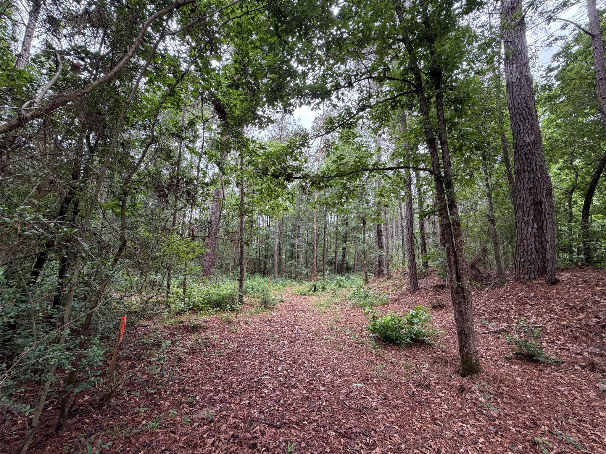 0 Hill Road Lot 3