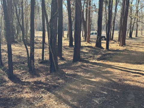 Vacant Land For Sale - 16 AC Steede Rd<br/> Montgomery, TX 77356