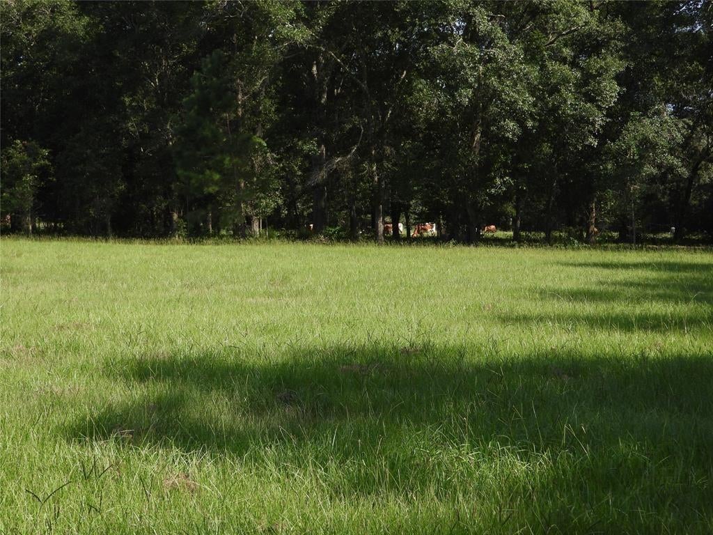 18855 Bethel Rd