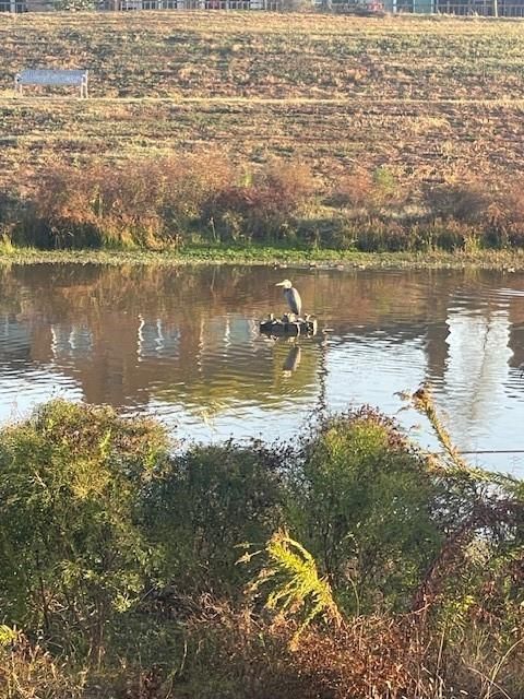 Tiny photo for 1517 Ramada Drive #1517, Houston, TX 77062 (MLS # 14365683)