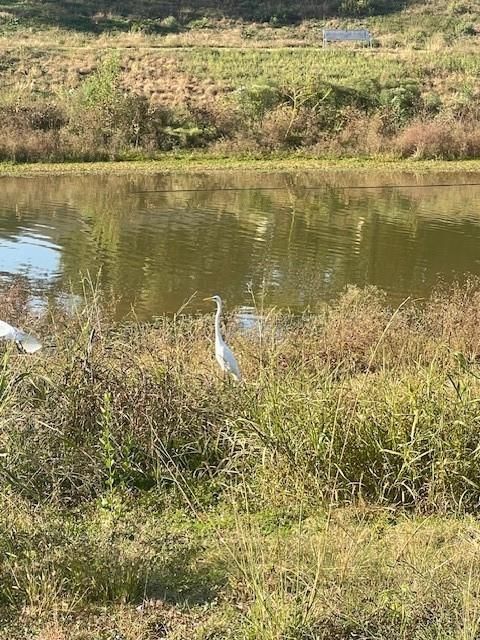 Tiny photo for 1517 Ramada Drive #1517, Houston, TX 77062 (MLS # 14365683)