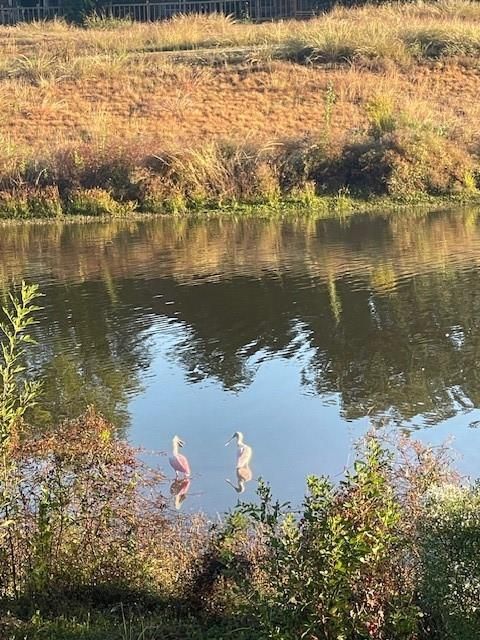 Tiny photo for 1517 Ramada Drive #1517, Houston, TX 77062 (MLS # 14365683)