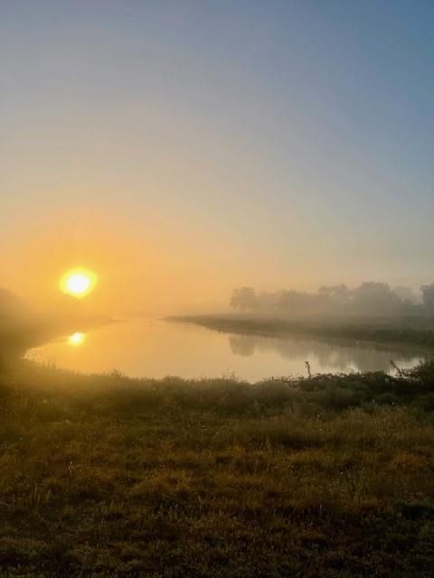 Tiny photo for 1517 Ramada Drive #1517, Houston, TX 77062 (MLS # 14365683)