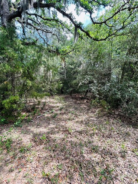 Photo of 25 Dunlavy Road, Cat Spring, TX 78933 (MLS # 13619653)