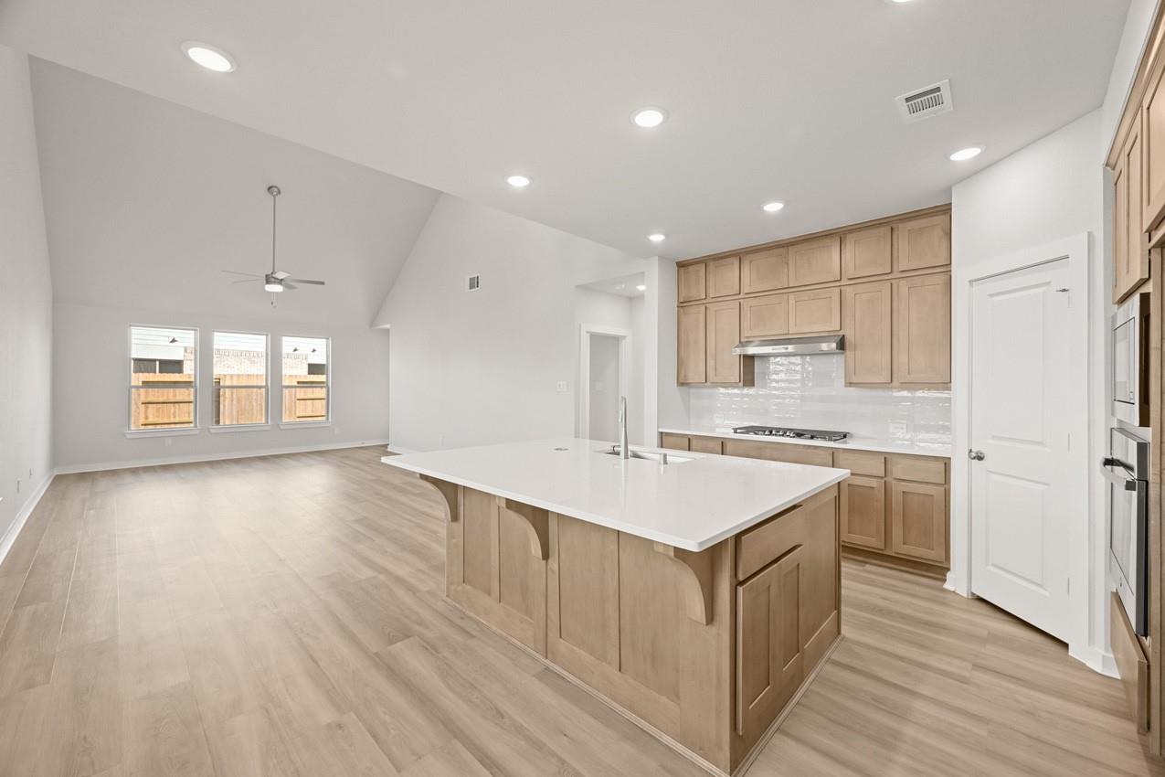 223 Navasota Narrows Court