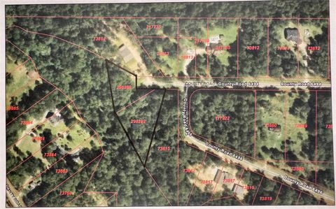 Photo of 0 County Road 6496, Dayton, TX 77535 (MLS # 15099370)