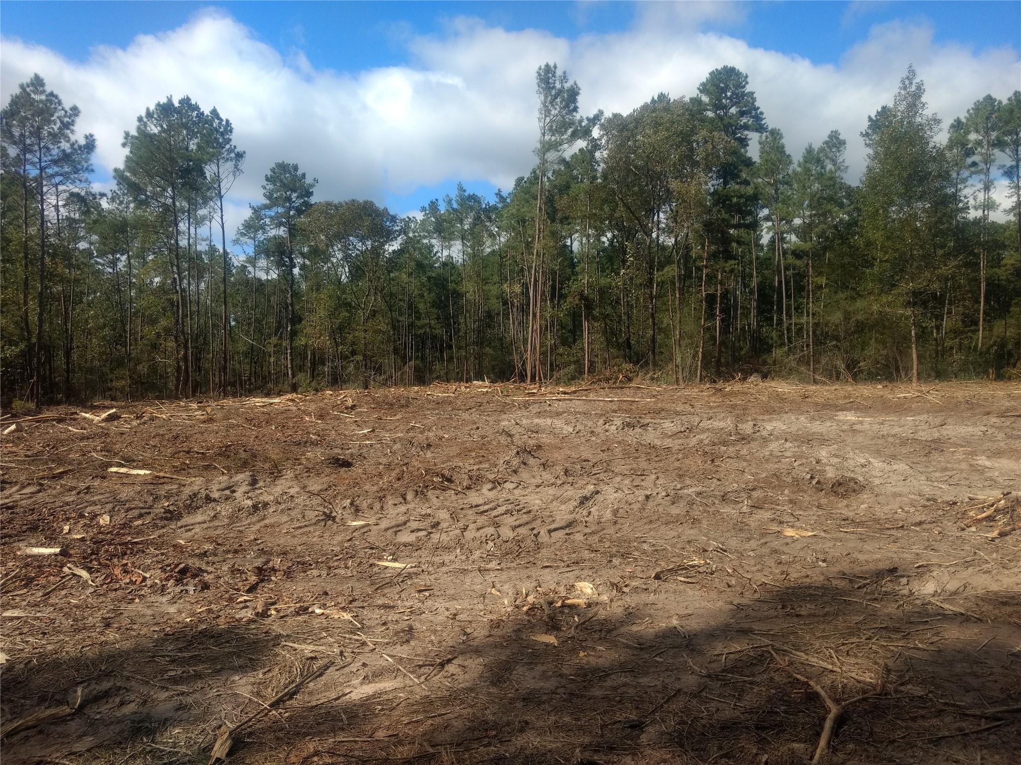 4109 N State Highway 19