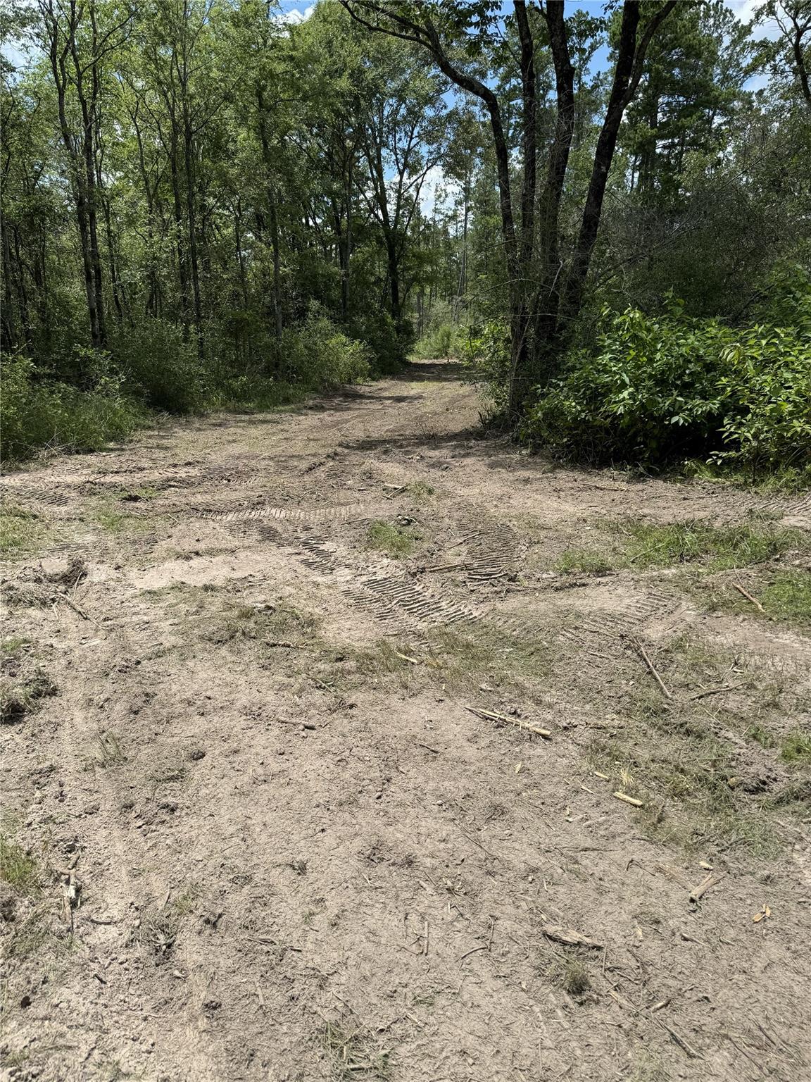 4109 N State Highway 19