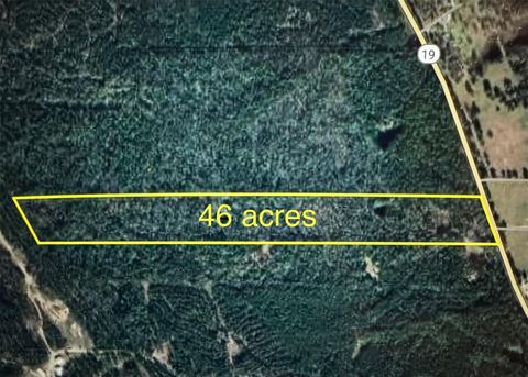 Photo of 4109 N State Highway 19, Trinity, TX 75862 (MLS # 92014933) Photo of 4109 N State Highway 19, Trinity, TX 75862 (MLS # 92014933)