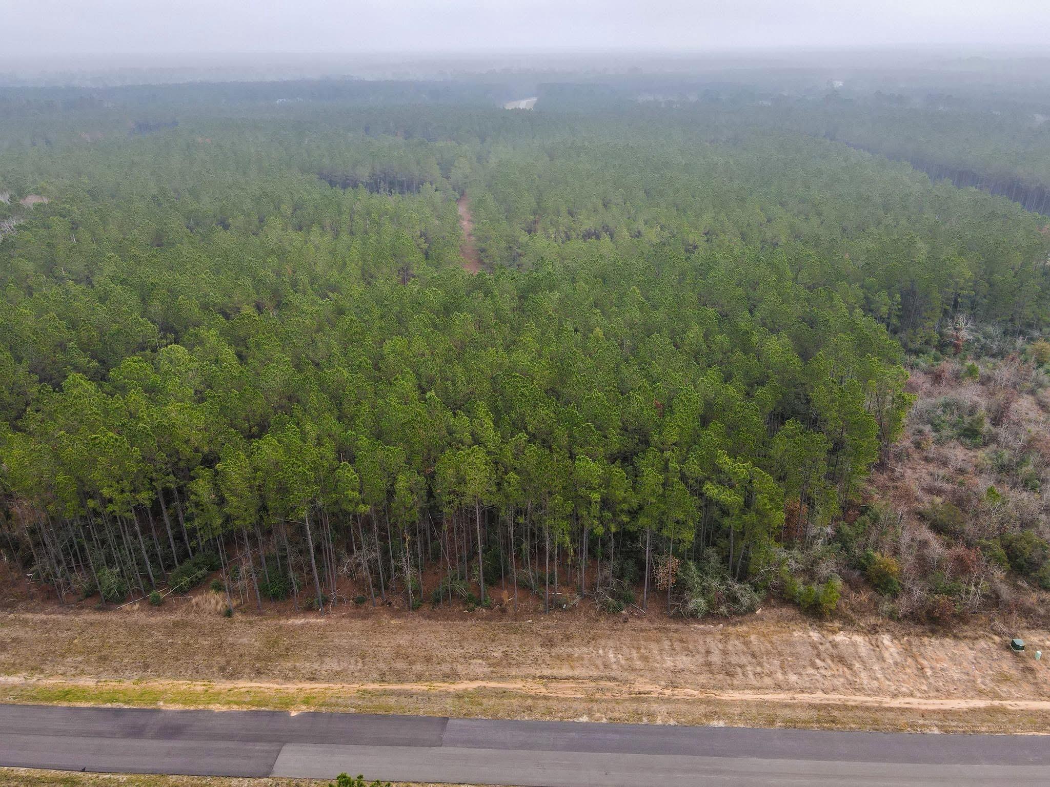 16098 Forest Mill Road