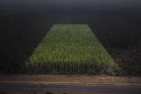 Vacant Land For Sale - 16098 Forest Mill Road<br/> Willis, TX 77378