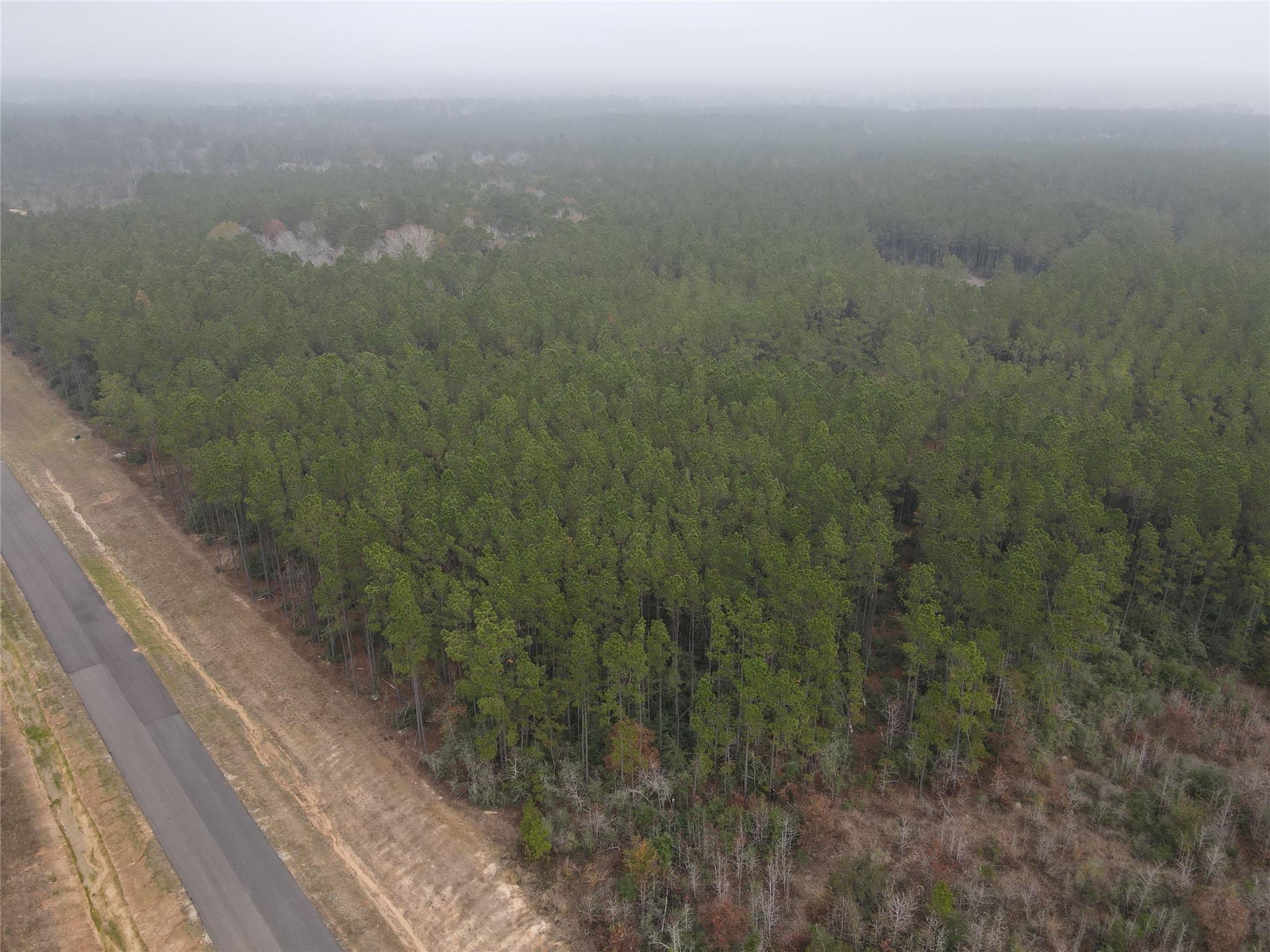 16098 Forest Mill Road