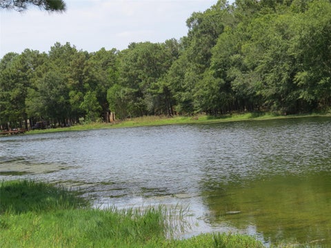 Photo of 2176 Bambi Court, Cleveland, TX 77328 (MLS # 89217681)