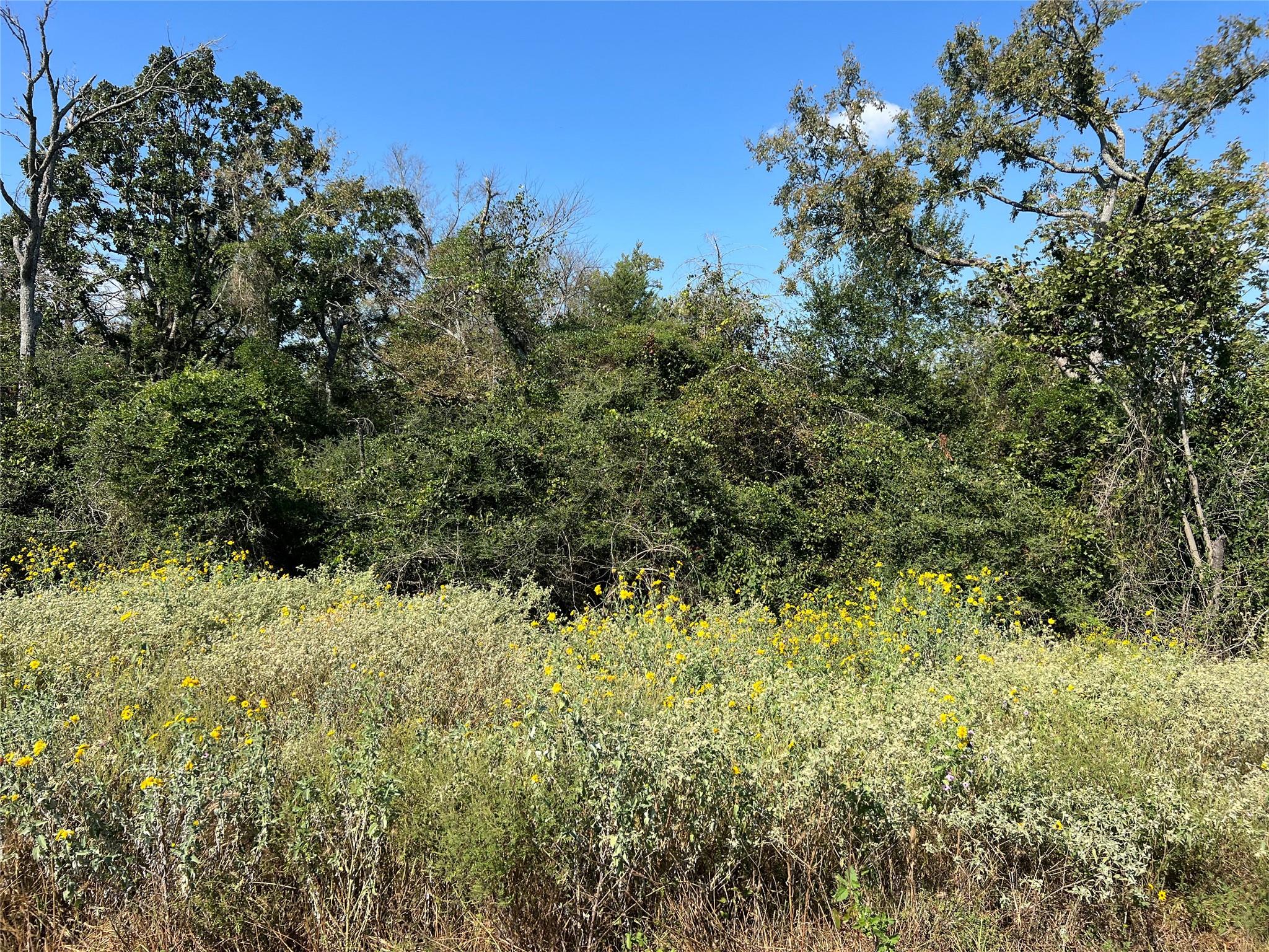 0 County Road 322