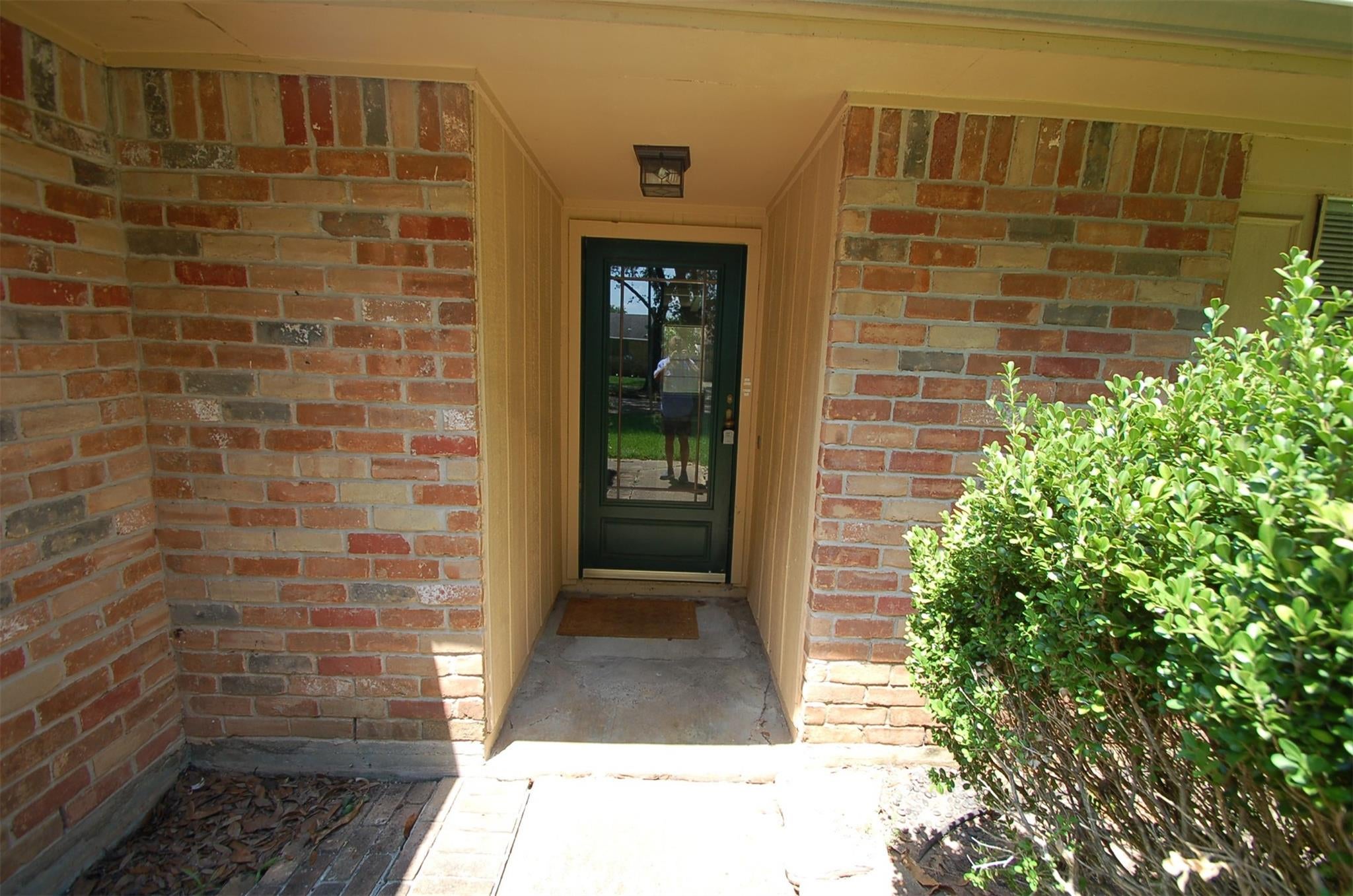 3107 Jenny Drive
