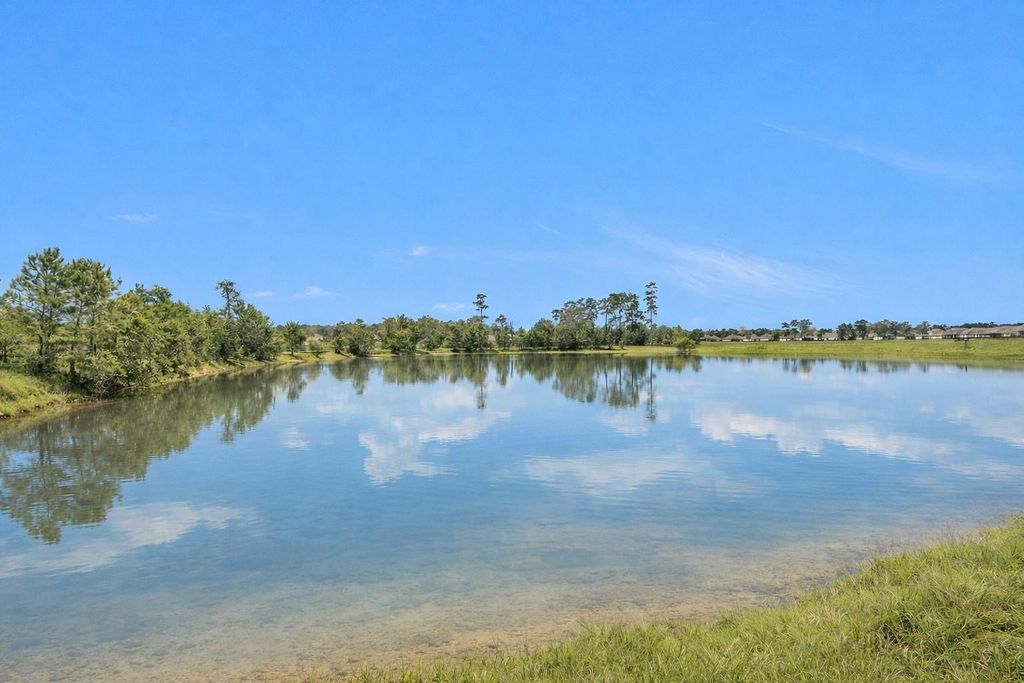 Photo of 223 Shoreview Drive, Conroe, TX 77303 (MLS # 39546602)